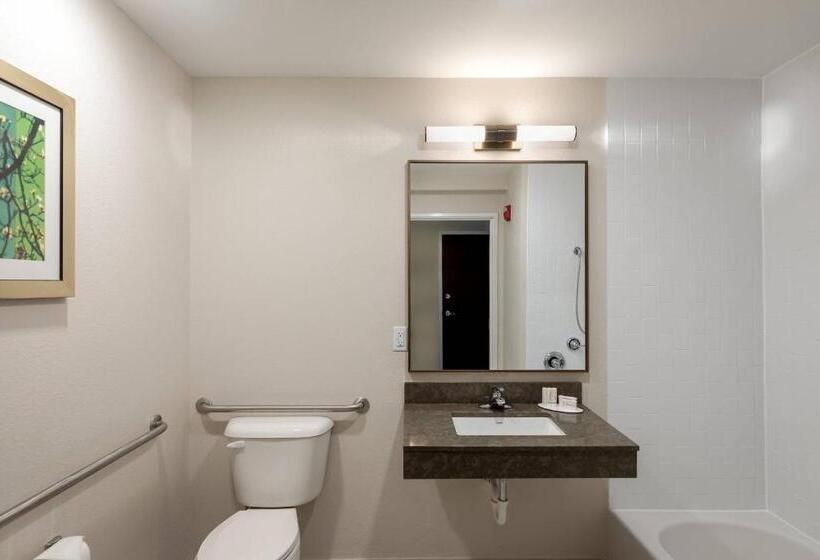 스탠다드 룸 더블 침대 2개, Fairfield Inn & Suites Savannah Airport