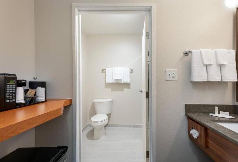 キングサイズベッドのスタンダードルーム, Fairfield Inn & Suites Savannah Airport