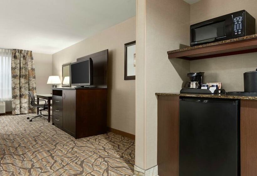 חדר סטנדרט, Holiday Inn Hotel & Suites Gateway, An Ihg