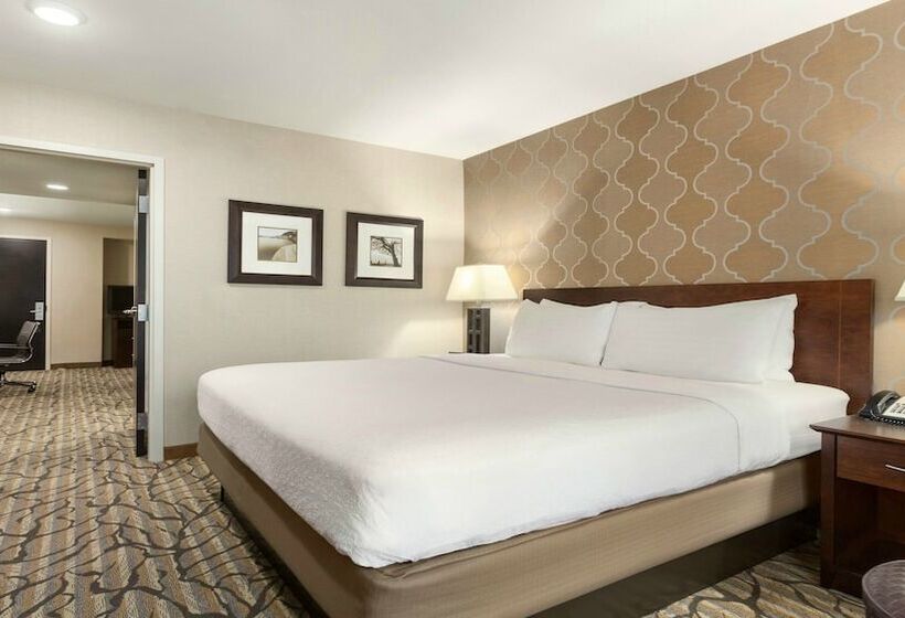 סוויטה, Holiday Inn Hotel & Suites Gateway, An Ihg