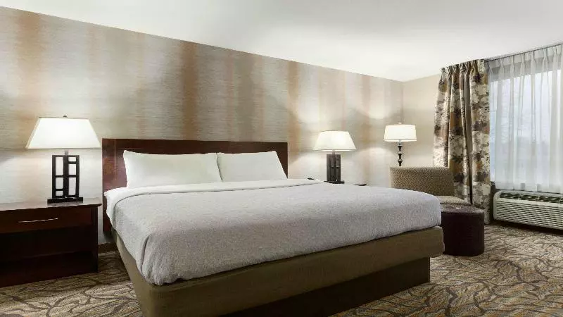 キングサイズベッドのスタンダードルーム, Holiday Inn Hotel & Suites Gateway, An Ihg