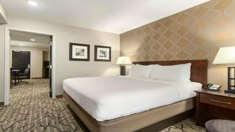キングサイズベッドのスイートルーム, Holiday Inn Hotel & Suites Gateway, An Ihg