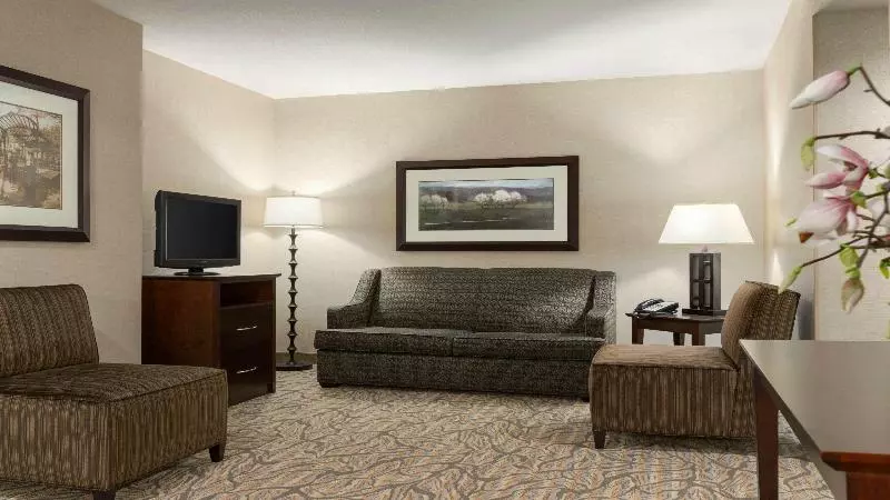 キングサイズベッドのスイートルーム, Holiday Inn Hotel & Suites Gateway, An Ihg