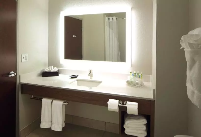سوییت, Holiday Inn Express Hotel & Suites Atlanta Airport West   Camp Creek, An Ihg