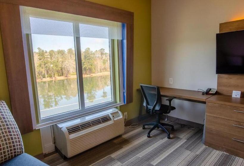 Номер Стандарт, Holiday Inn Express Hotel & Suites Atlanta Airport West   Camp Creek, An Ihg