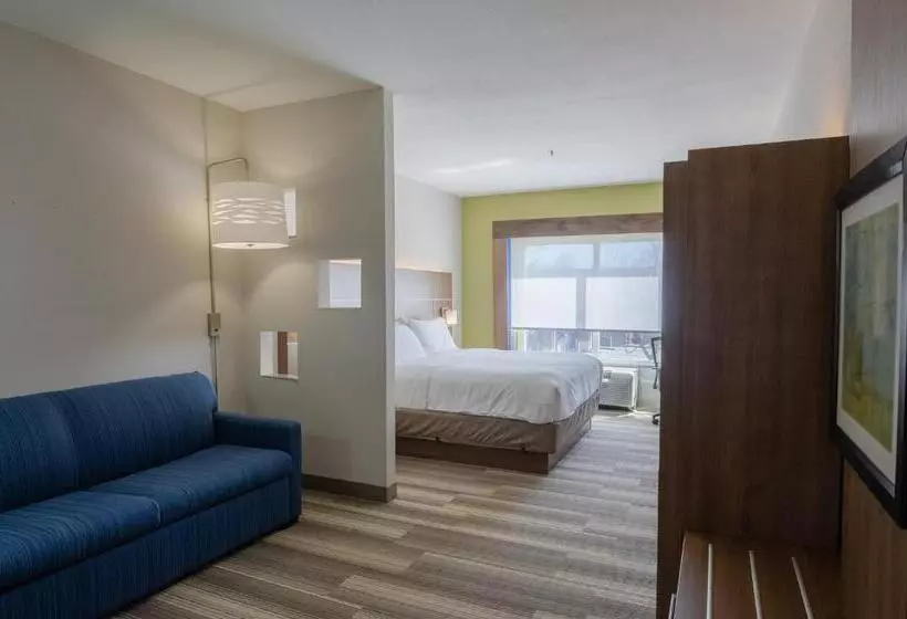 اتاق استاندارد با تخت بزرگ, Holiday Inn Express Hotel & Suites Atlanta Airport West   Camp Creek, An Ihg