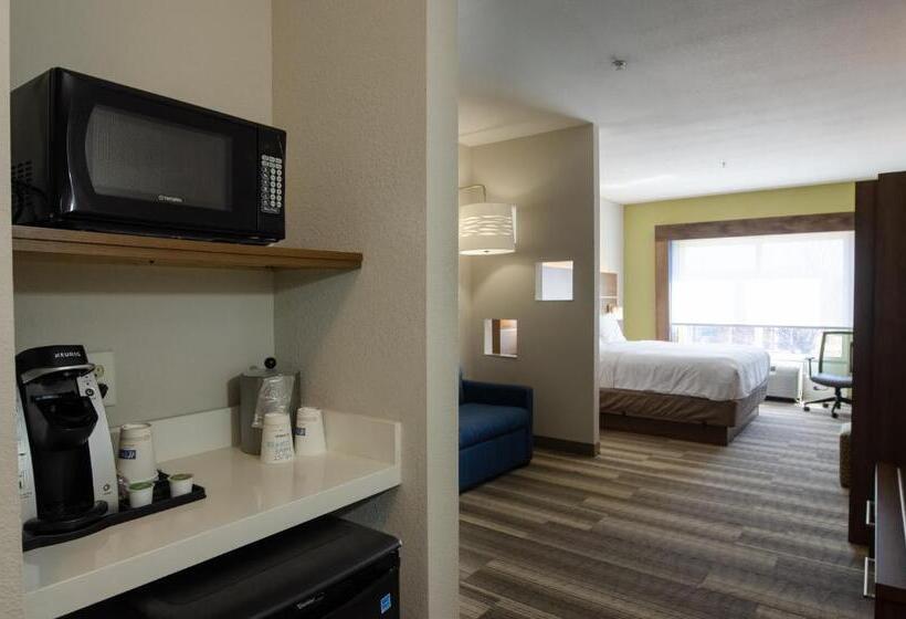 스위트 킹사이즈 침대, Holiday Inn Express Hotel & Suites Atlanta Airport West   Camp Creek, An Ihg