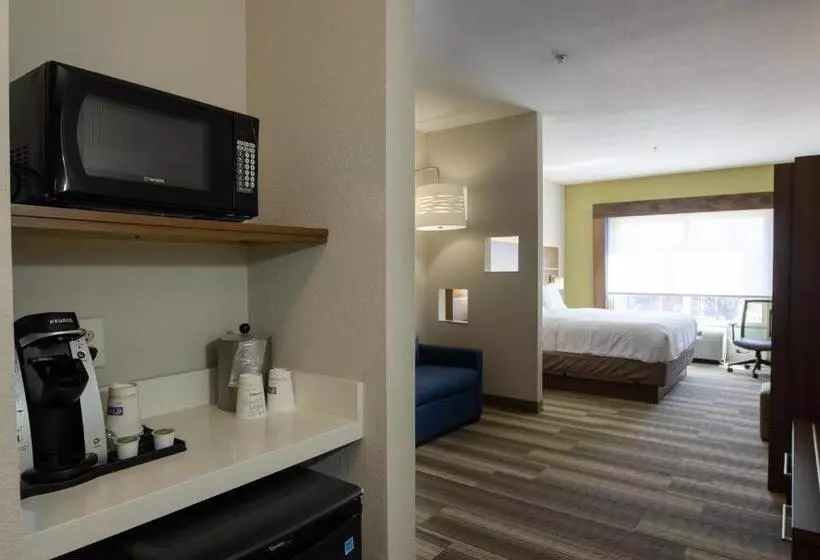 سوئیت با تخت بزرگ, Holiday Inn Express Hotel & Suites Atlanta Airport West   Camp Creek, An Ihg