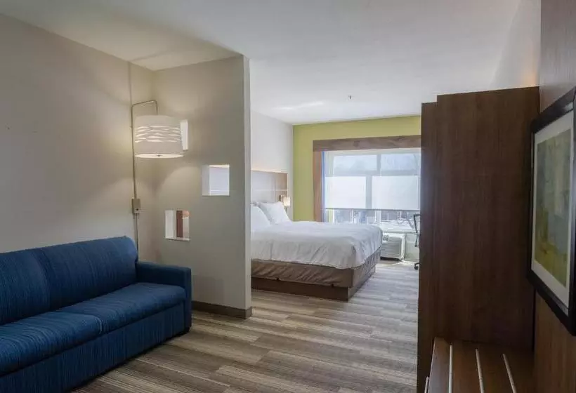 سوئیت با تخت بزرگ, Holiday Inn Express Hotel & Suites Atlanta Airport West   Camp Creek, An Ihg