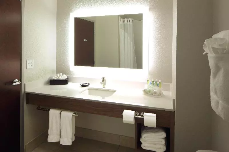 اتاق استاندارد, Holiday Inn Express Hotel & Suites Atlanta Airport West   Camp Creek, An Ihg