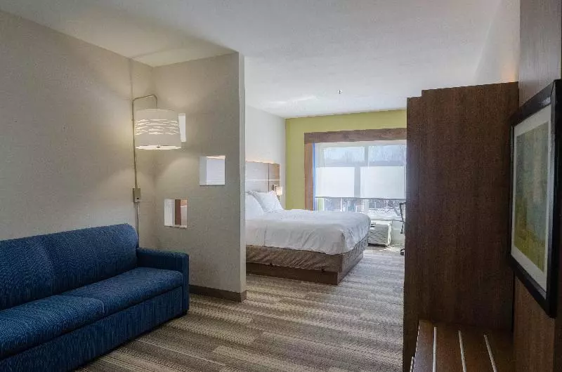 سوئیت با تخت بزرگ, Holiday Inn Express Hotel & Suites Atlanta Airport West   Camp Creek, An Ihg