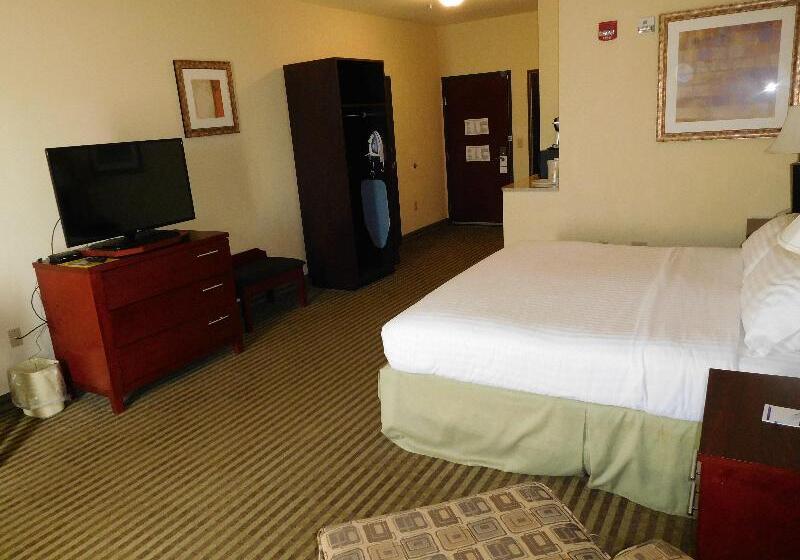 غرفة قياسية سرير كينج, Holiday Inn Express Ponca City, An Ihg