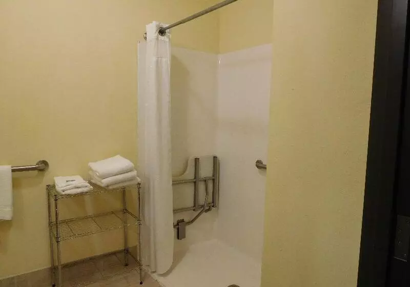اتاق استاندارد با تخت بزرگ, Holiday Inn Express Ponca City, An Ihg