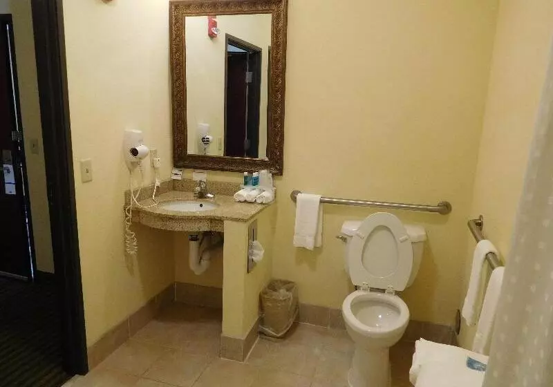 اتاق استاندارد با تخت بزرگ, Holiday Inn Express Ponca City, An Ihg