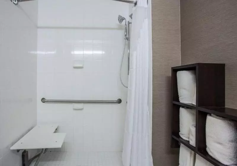 デラックスルーム, Holiday Inn Express & Suites Naples Downtown   5th Avenue, An Ihg