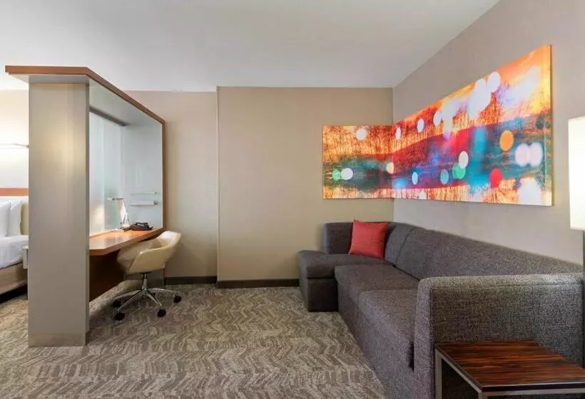キングサイズベッドのスイートルーム, Springhill Suites Louisville Downtown