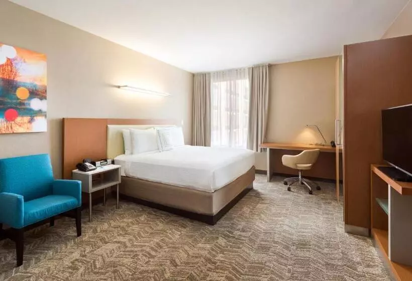 キングサイズベッドのエクゼクティブ, Springhill Suites Louisville Downtown