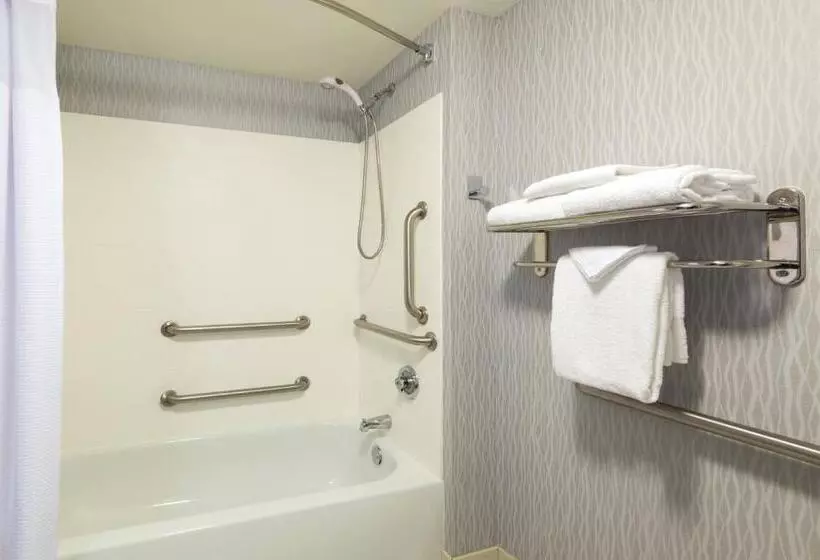 スイート, Springhill Suites Louisville Downtown