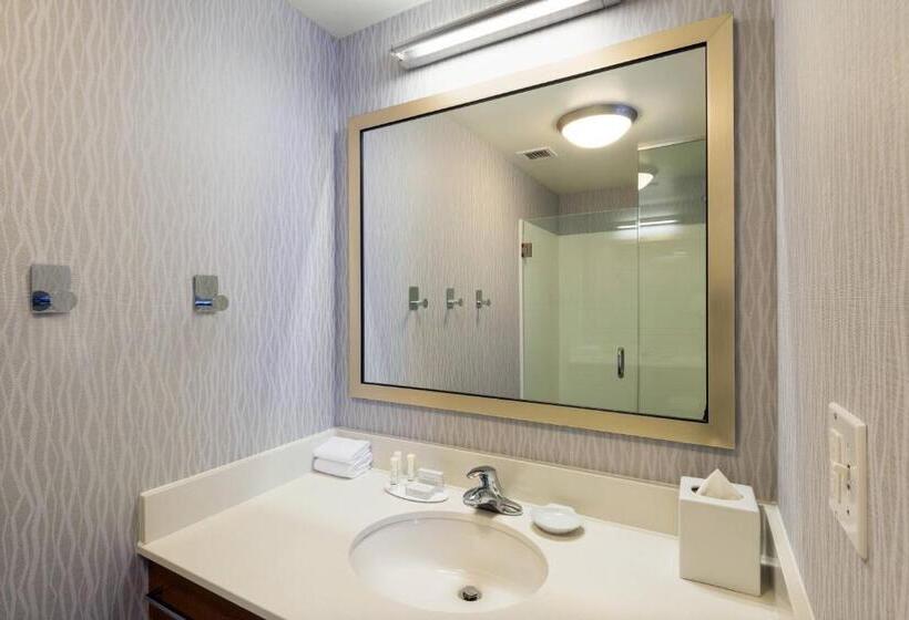 スイート, Springhill Suites Louisville Downtown