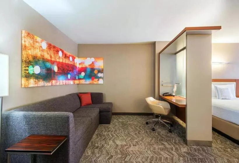 身障者適用スイートルーム, Springhill Suites Louisville Downtown
