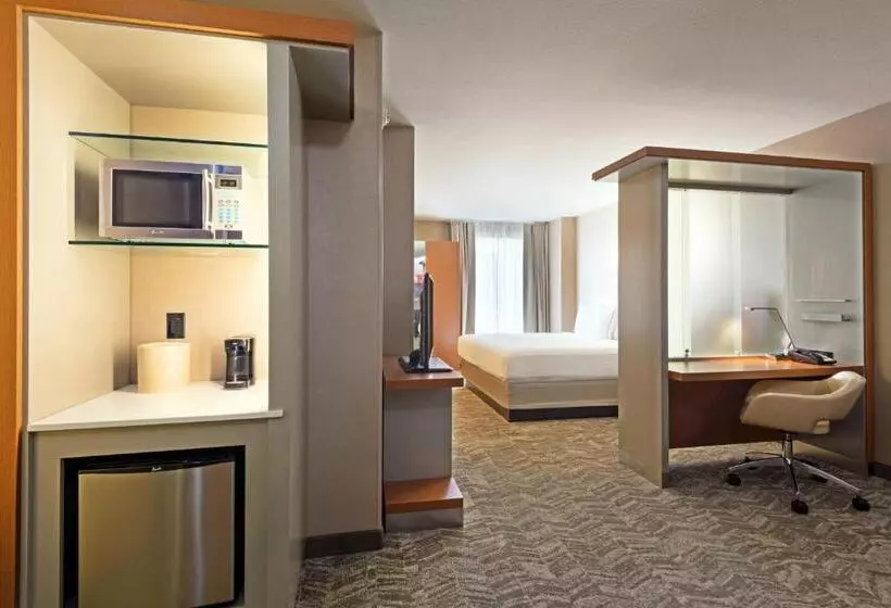 キングサイドベッドのスタンダードワンルーム, Springhill Suites Louisville Downtown
