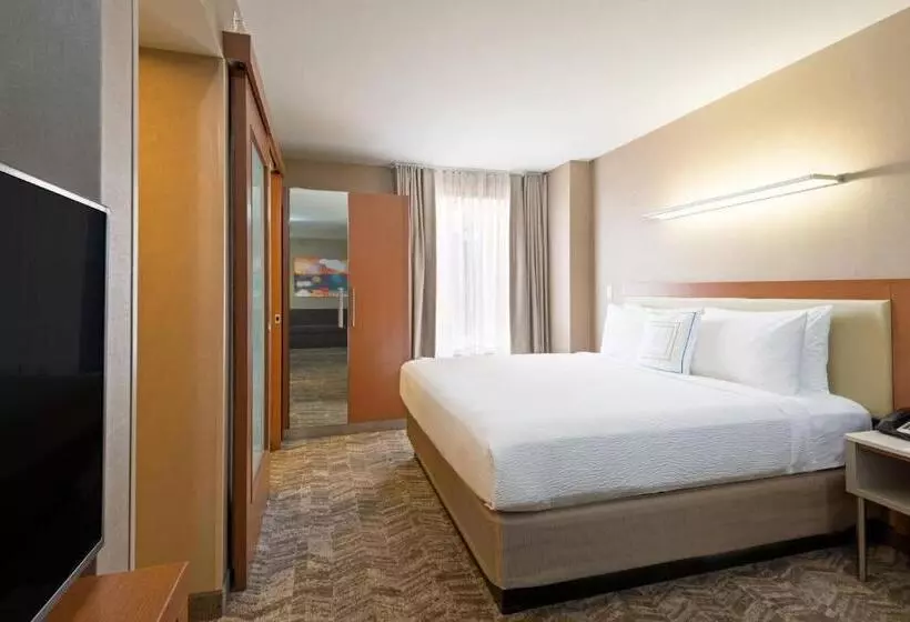 キングサイドベッドのスタンダードワンルーム, Springhill Suites Louisville Downtown