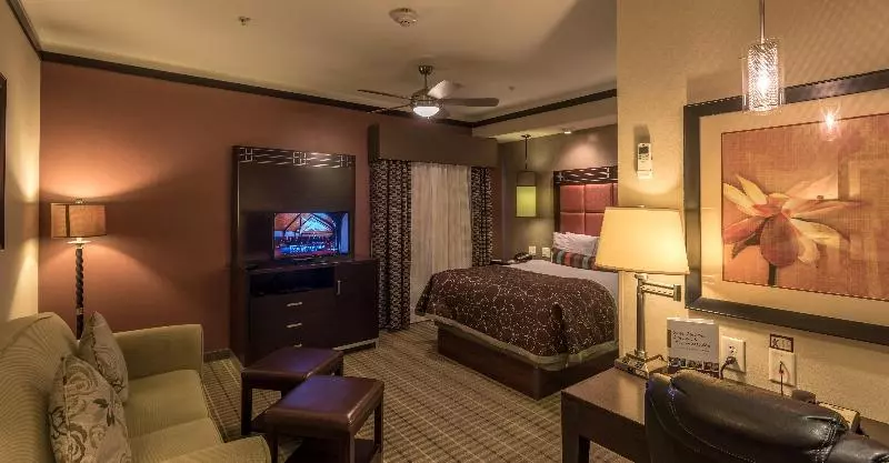 スタンダードスタジオ, Staybridge Suites Dfw Airport North, An Ihg