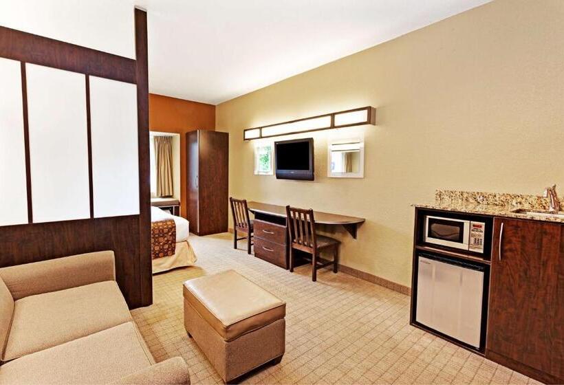 جناح لذوى الاحتياجات الخاصة, Microtel Inn & Suites By Wyndham Woodstock/atlanta North