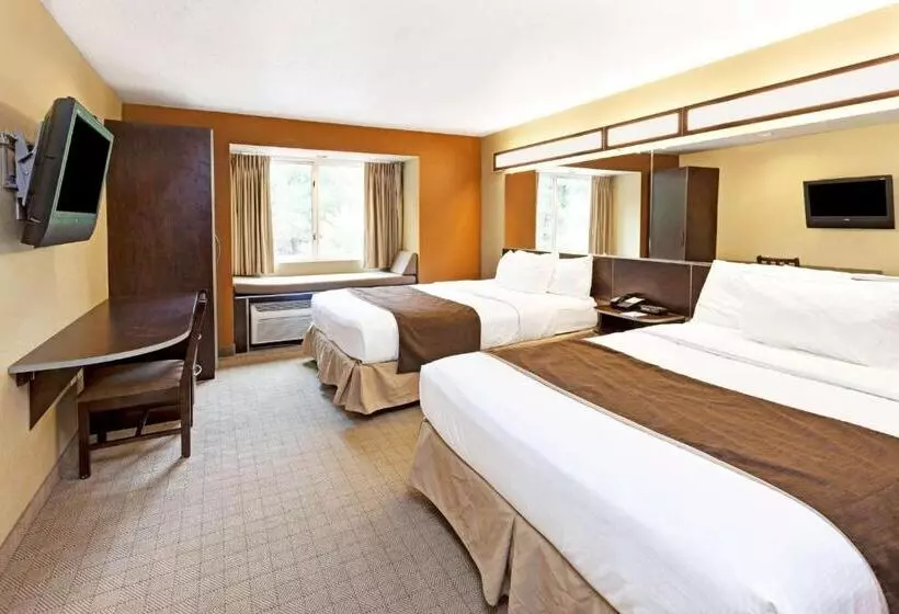 身障者適用スタンダードルーム, Microtel Inn & Suites By Wyndham Woodstock/atlanta North