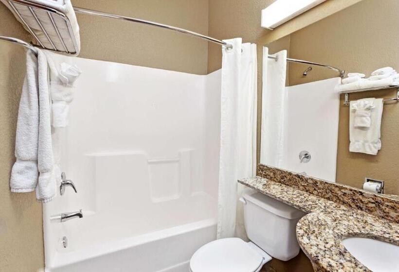 Номер Deluxe, Microtel Inn & Suites By Wyndham Woodstock/atlanta North