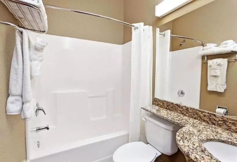 デラックスルーム, Microtel Inn & Suites By Wyndham Woodstock/atlanta North
