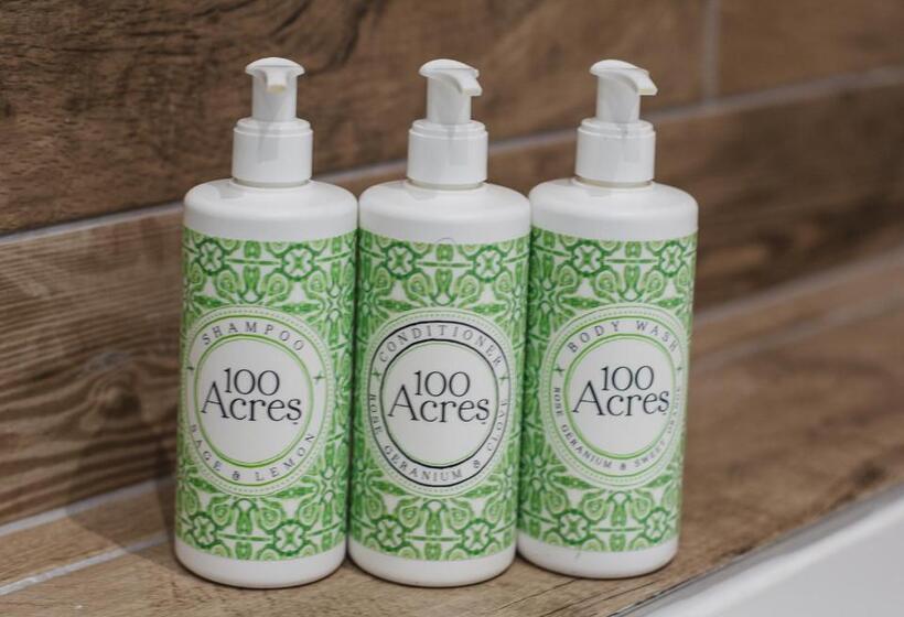 غرفة قياسية سرير كينج, The George Inn