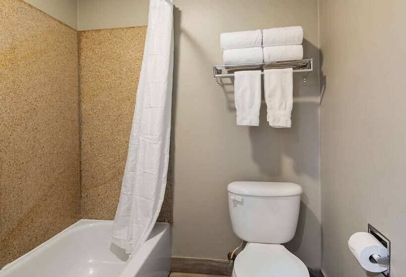 Люкс, Best Western Plus Newport News