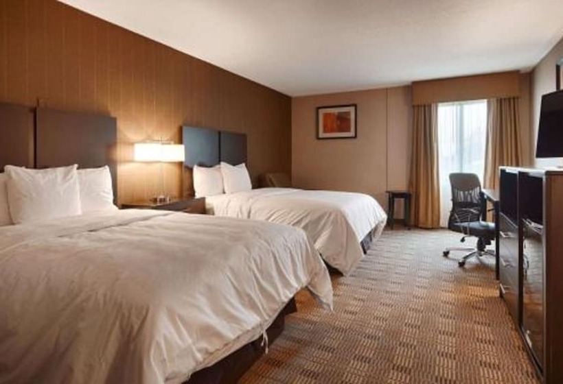 غرفه قياسيه سريرين مزدوجين, Garden Executive