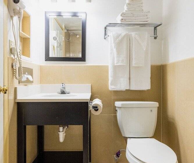 غرفة قياسية سرير كينج, Garden Executive