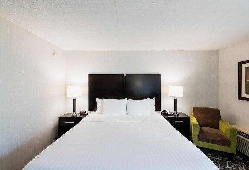 غرفة قياسية سرير كينج, Garden Executive