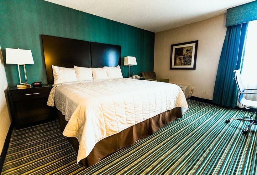 غرفة قياسية سرير كينج, Garden Executive