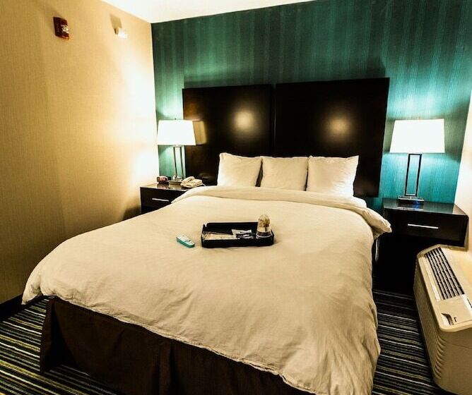 غرفة قياسية سرير كينج, Garden Executive