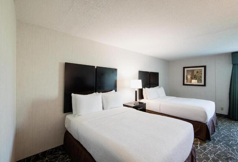 غرفه قياسيه سريرين مزدوجين, Garden Executive