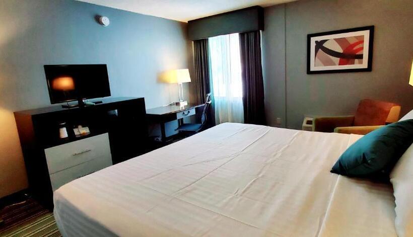 غرفة قياسية سرير كينج, Garden Executive