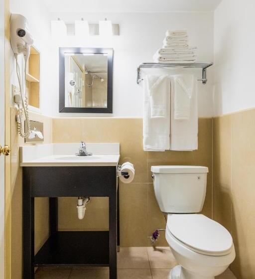 غرفة قياسية سرير كينج, Garden Executive