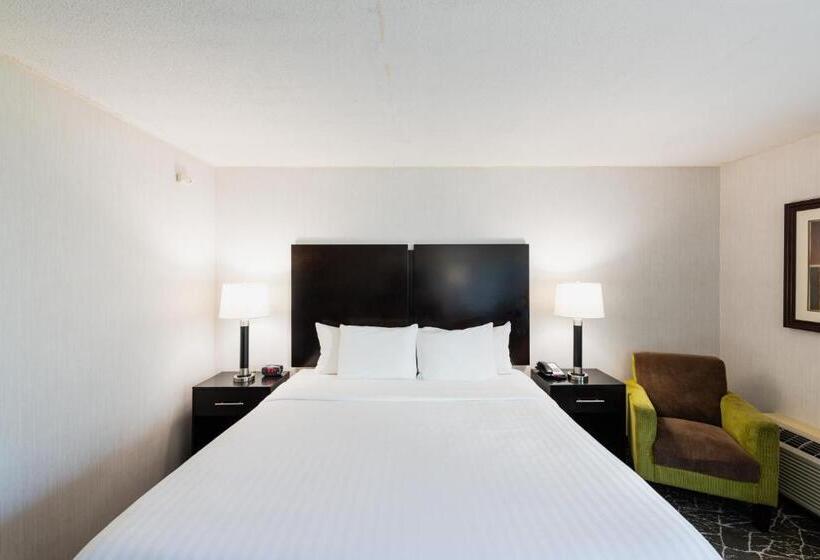 غرفة قياسية سرير كينج, Garden Executive