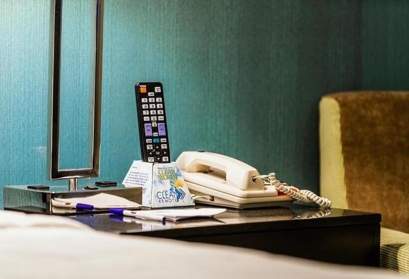 غرفة قياسية لذوى الاحتياجات الخاصة, Garden Executive