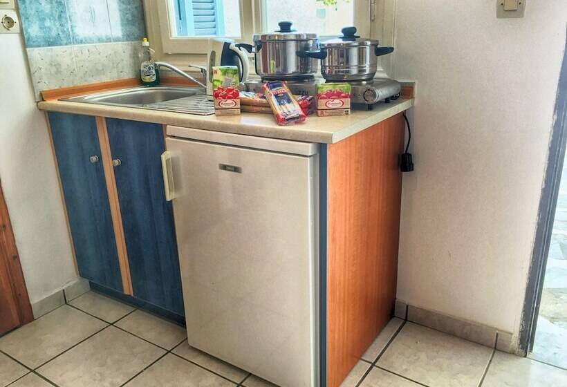 استودیوی استاندارد, Helena