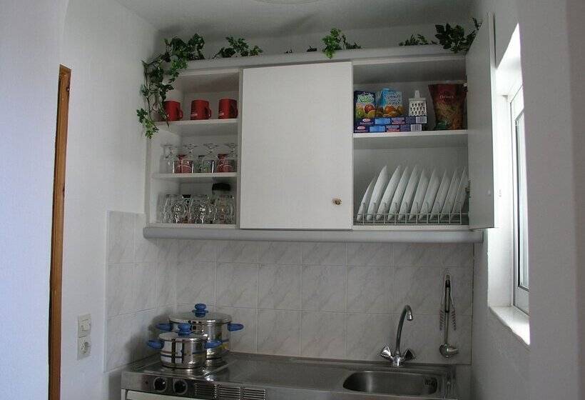 استودیوی استاندارد, Helena