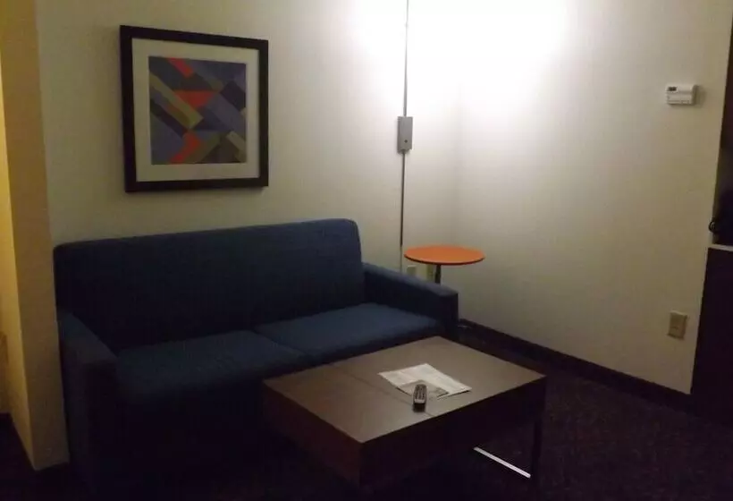 スイート, Holiday Inn Express & Suites Dyersburg, An Ihg