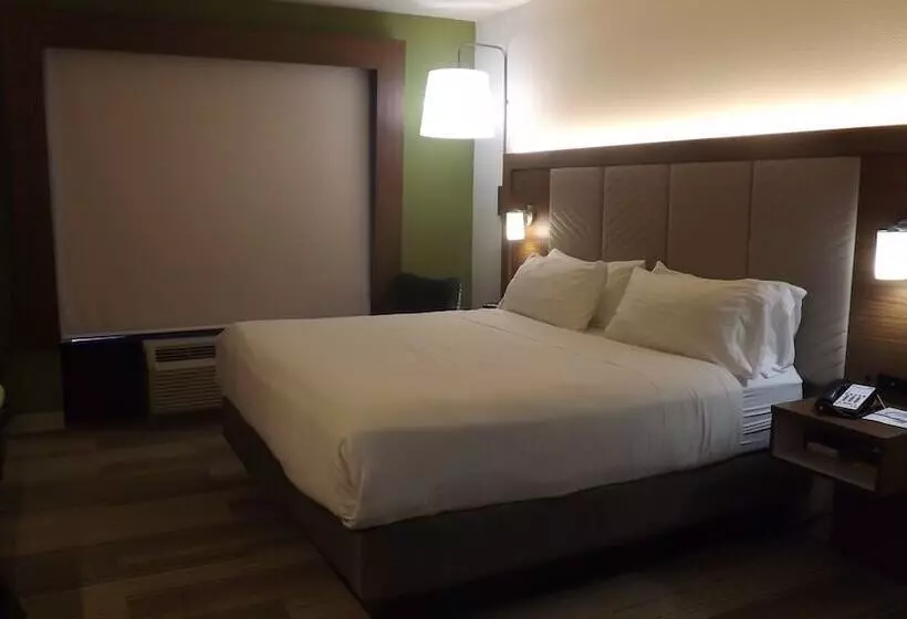 スイート, Holiday Inn Express & Suites Dyersburg, An Ihg