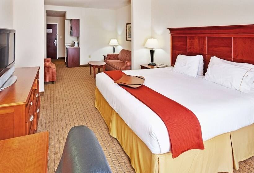 套房, Holiday Inn Express & Suites Dyersburg, An Ihg