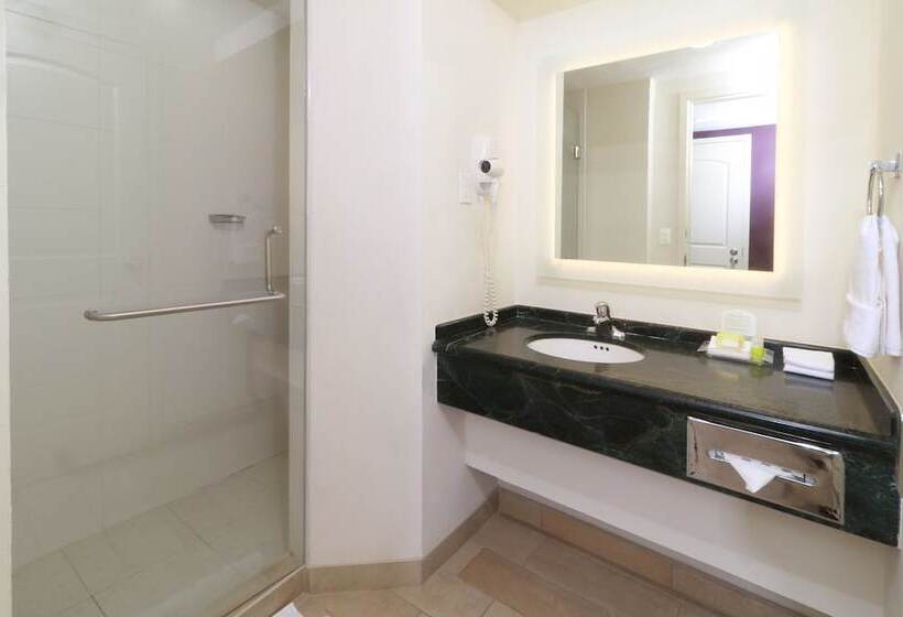 اتاق استاندارد با 2 تخت دوبل, Holiday Inn Reynosa Industrial Poniente, An Ihg