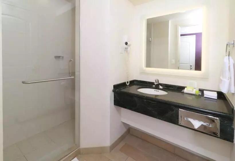 اتاق استاندارد با 2 تخت دوبل, Holiday Inn Reynosa Industrial Poniente, An Ihg